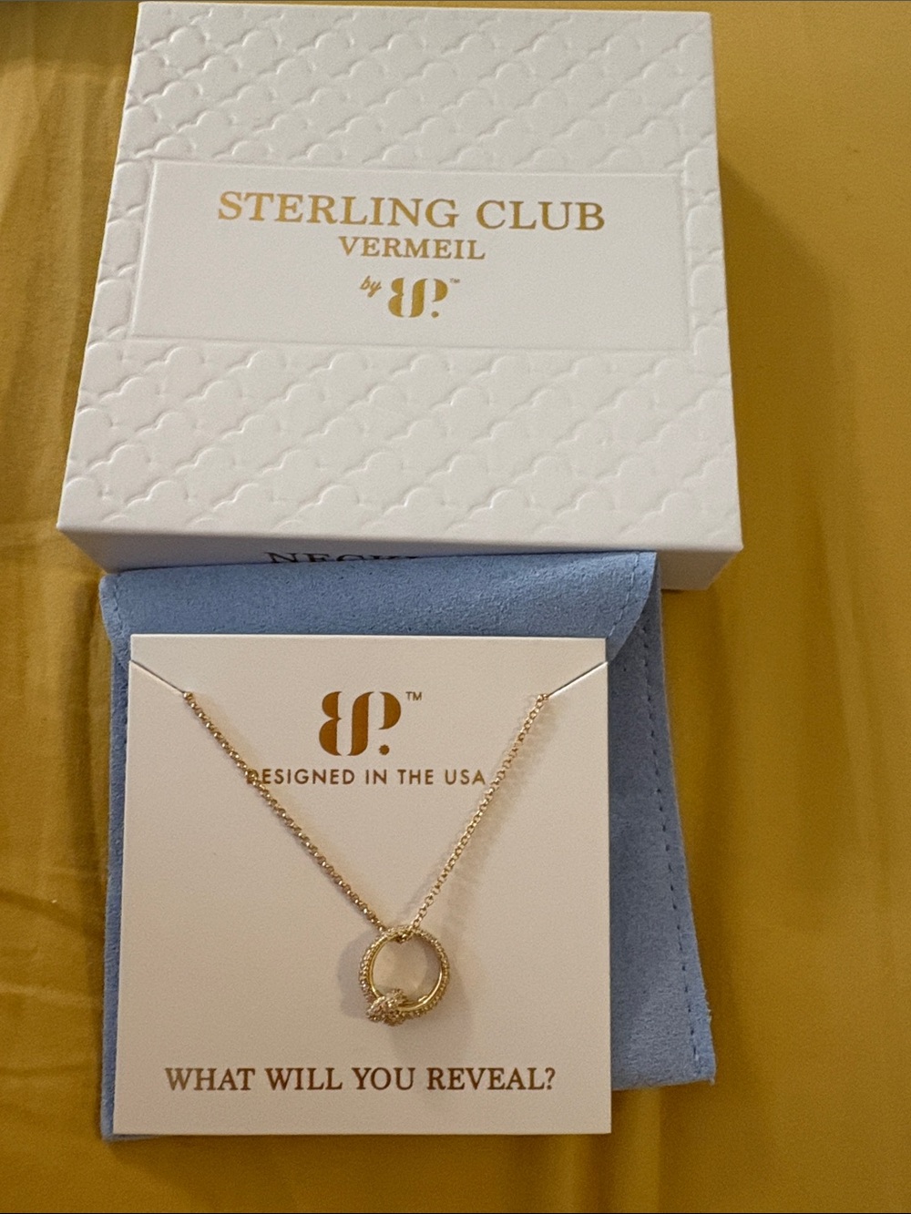 Sterling Club Vermeil Gold Circle Pendant Necklace
